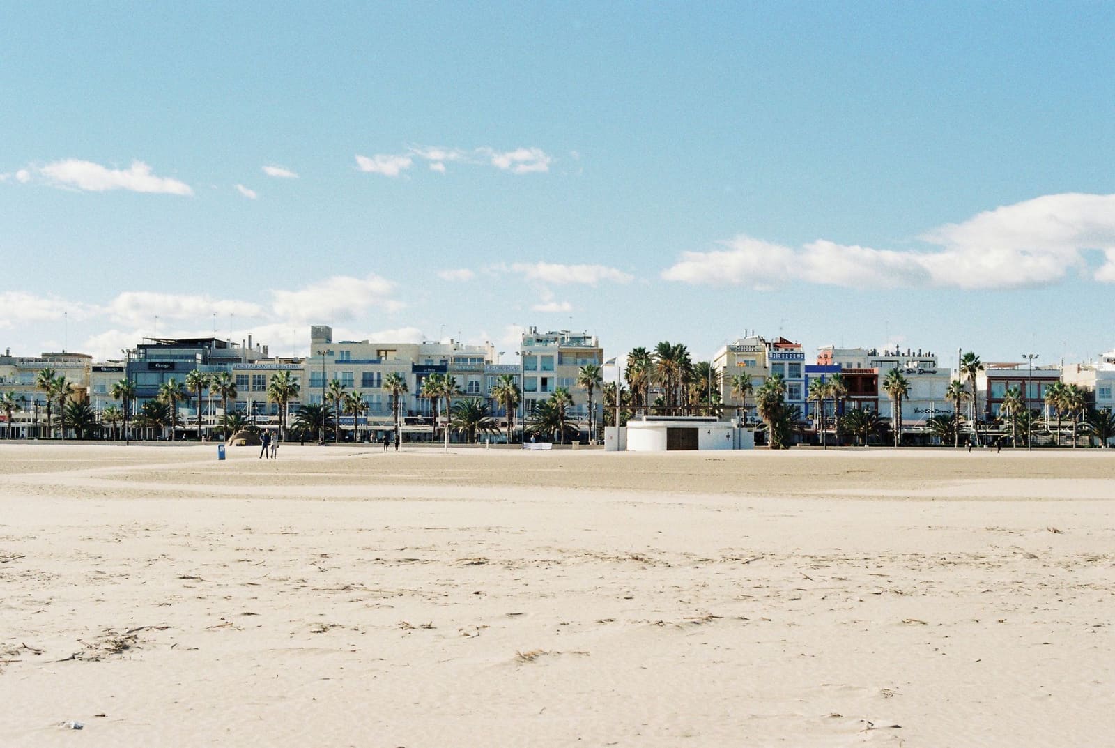 Paseo con palmeras y edificios de colores junto a la playa